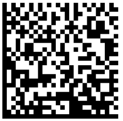 Data Matix pic