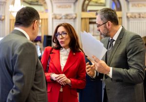 CONFERINTA 29